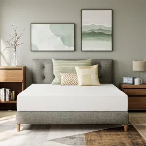 8 Inch Gel Memory Foam Mattress for Cool Sleep Medium Firm CertiPUR-US Certified Mattress in a Box